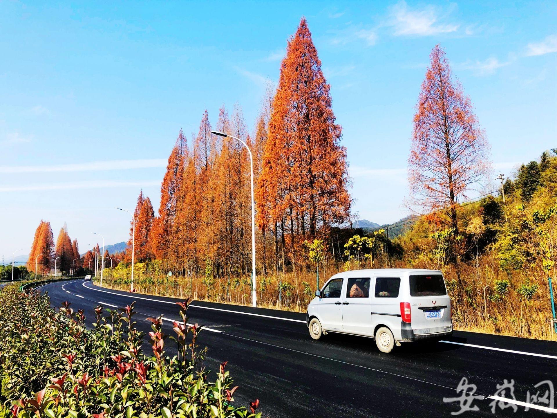 歙黟一级公路，建设进展与未来展望的最新消息