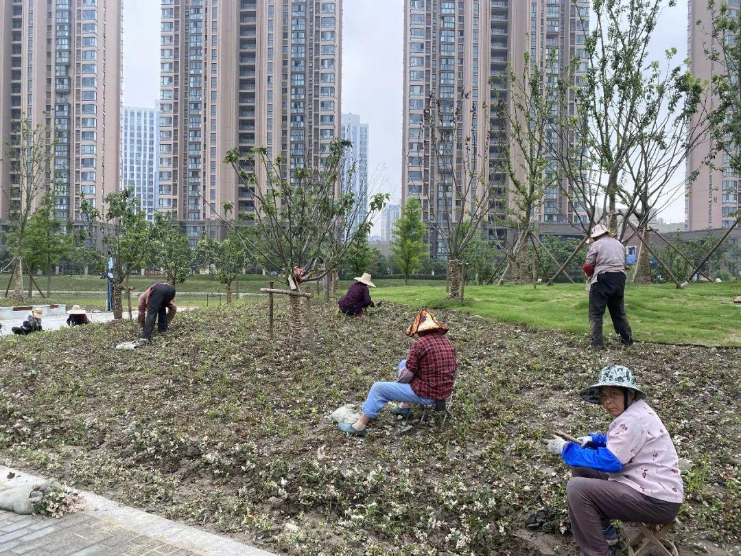 金山万达三楼最新招聘启事，探寻职场新机遇，开启事业新篇章！