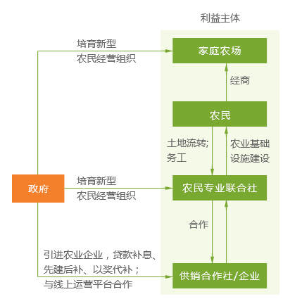 全年资料免费大全资料打开,完善的执行机制解析_潮流版9.6