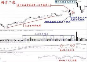 看香港正版精准特马资料,精细化策略落实探讨_体验版0.966