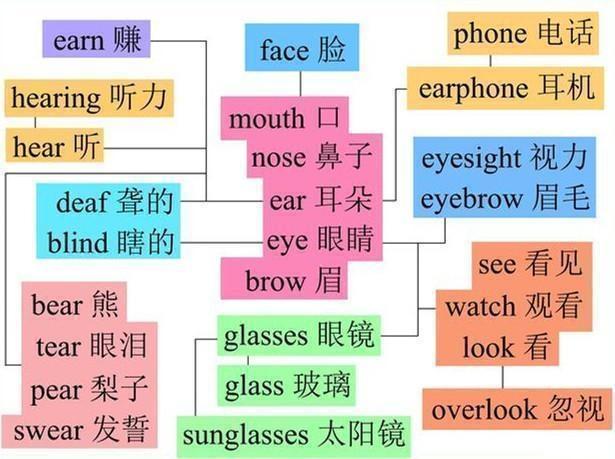 天下彩天资料大全,环境适应性策略应用_影像版4.385