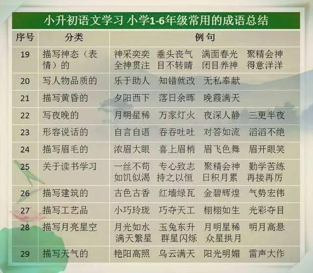 澳门天天开彩大全免费,收益成语分析落实_探索版0.513