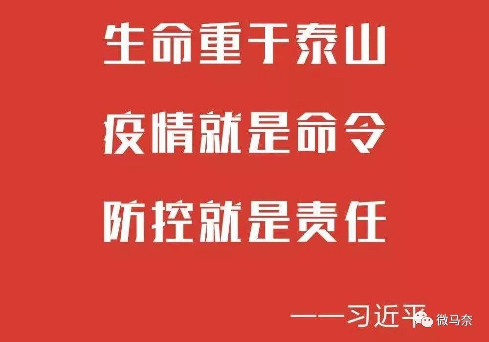 2024澳门精准正版资料76期,社会责任方案执行_潮流版8.835