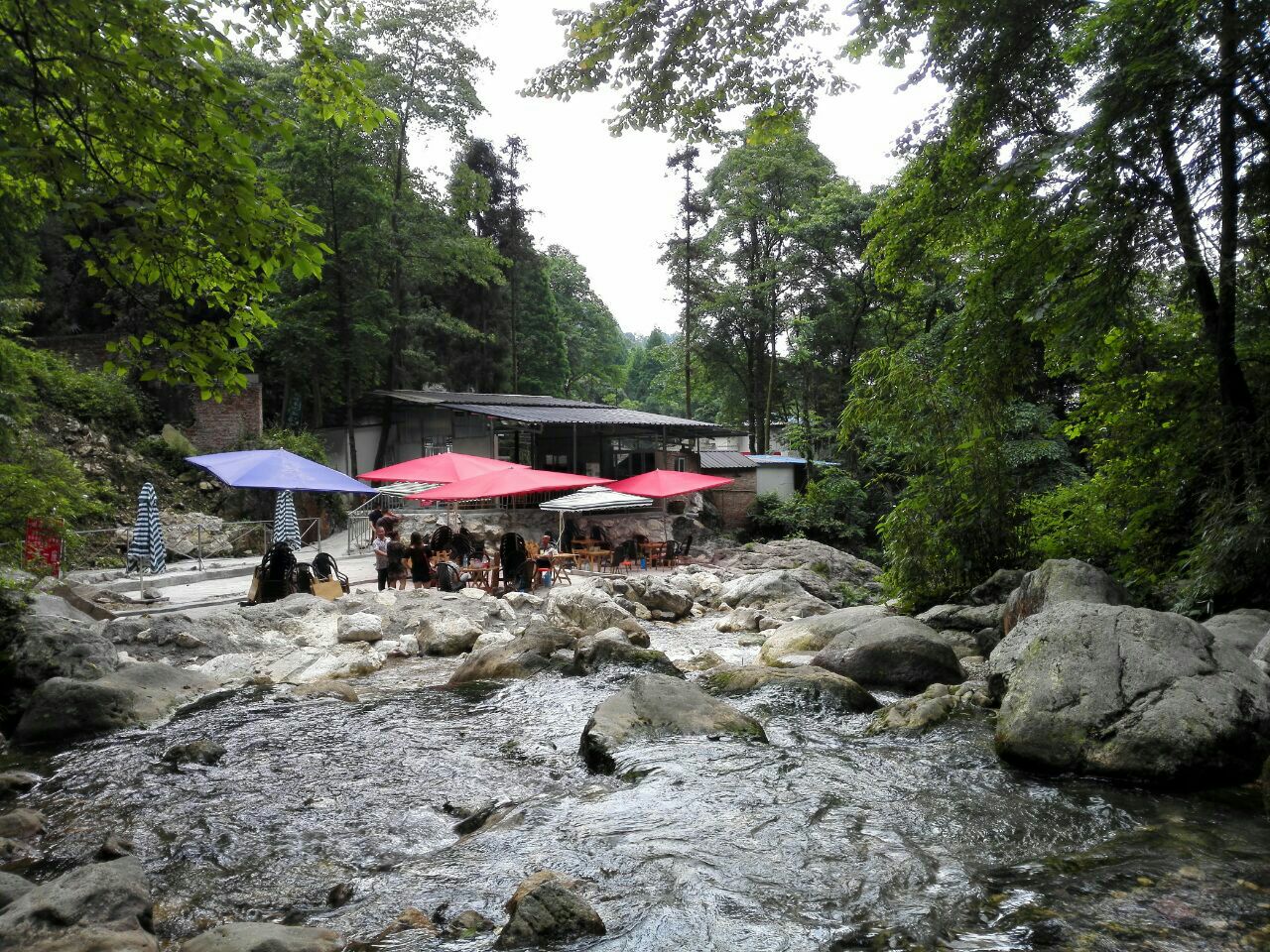 九龙沟风景区最新动态概览