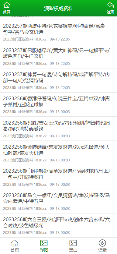 新澳门资料大全正版资料2023,时代说明分析_中等款3.132