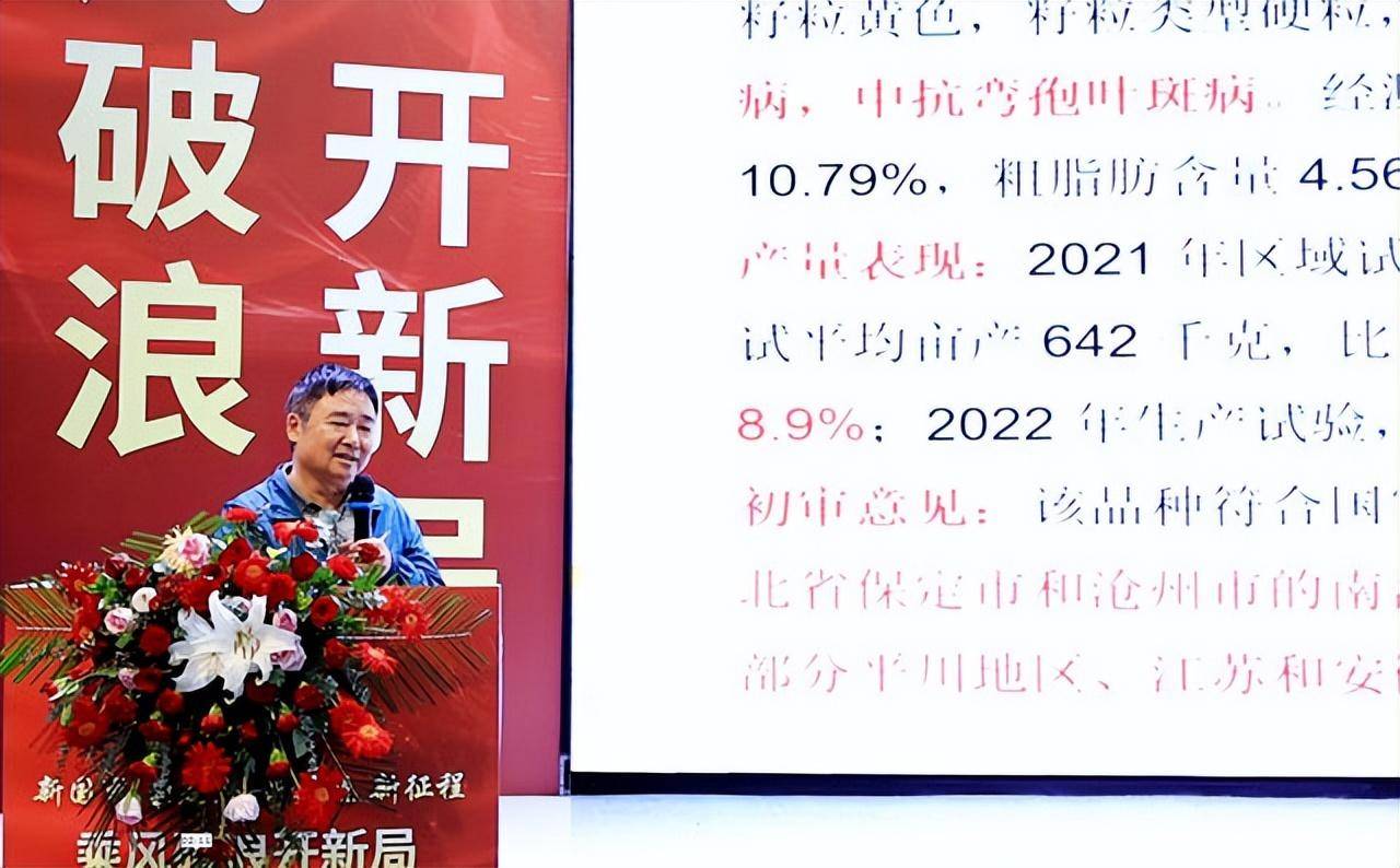 2024新奥历史开奖记录香港,权威指导解析现象_计划型6.819