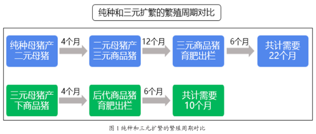 2024澳门今晚开奖记录,权威策略探讨数据_储蓄品5.943