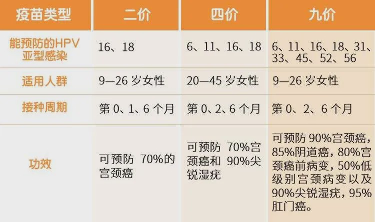 最准一码一肖100%精准老钱庄揭秘,精密分析解答解释路径_Z版9.938