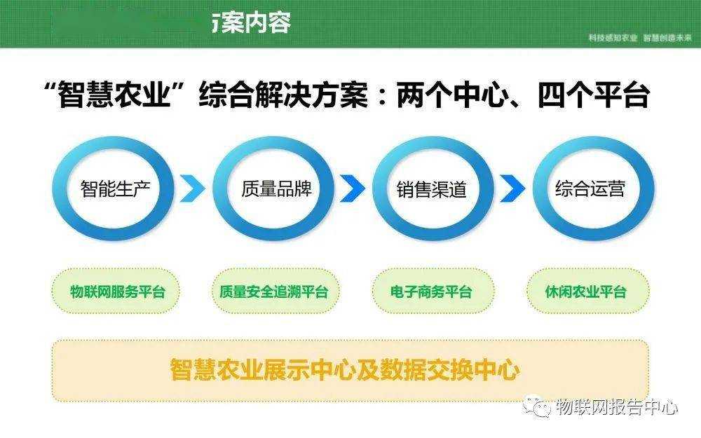 2024澳门今晚开特马开什么,实证策略解析解答解释_更换版5.109