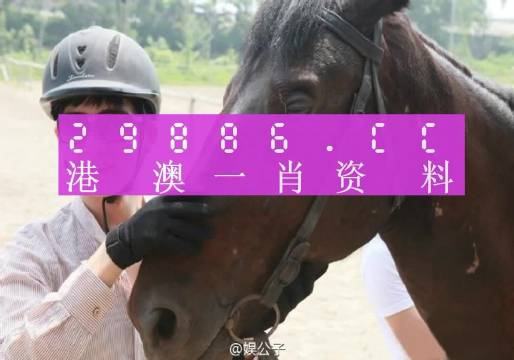 今晚一肖一码澳门一肖com，绝对经典解释落实_V版25.46.5