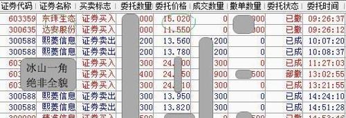 2024年11月7日 第28页