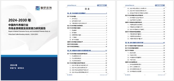 新澳2024资料免费大全版,市场趋势方案实施_10DM28.923