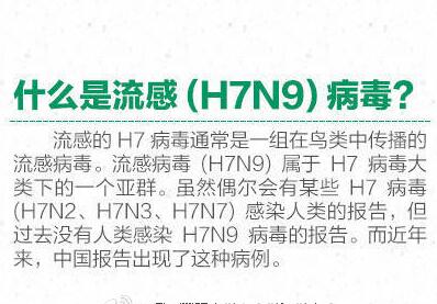 河南地区H7N9最新动态，深度分析与未来展望（2017年）