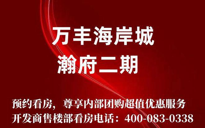 澳门2024正版资料免费公开,时代资料解析_RX版17.114