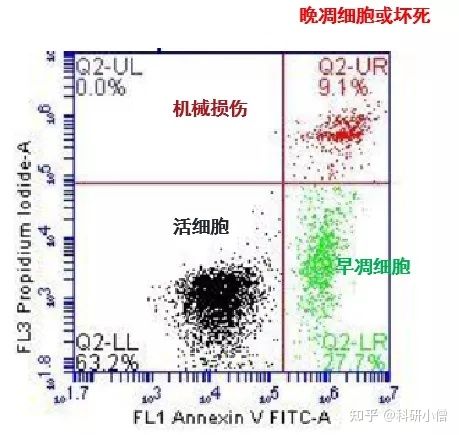 奧門資料大全免費資料,可靠数据解释定义_4K15.673