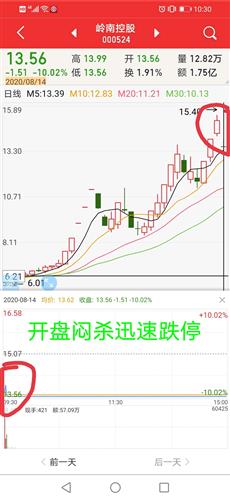 新澳门彩历史开奖记录走势图,状况分析解析说明_Surface52.888