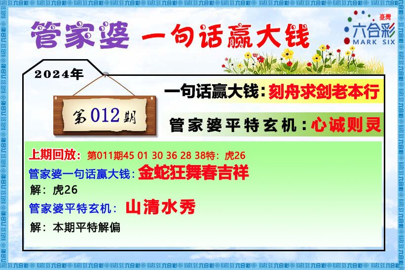 管家婆一码中一肖2024,最新正品解答落实_影像版71.501