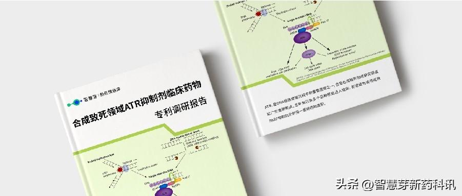 靶向药2023价格一览表,灵活解析实施_HD38.360