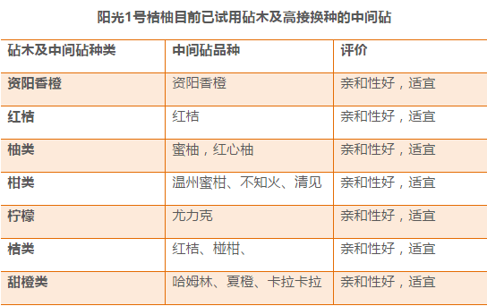 2025舒城划归合肥最新,实践分析解析说明_WP97.567