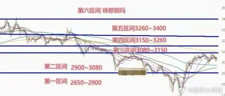 2024年11月15日 第47页