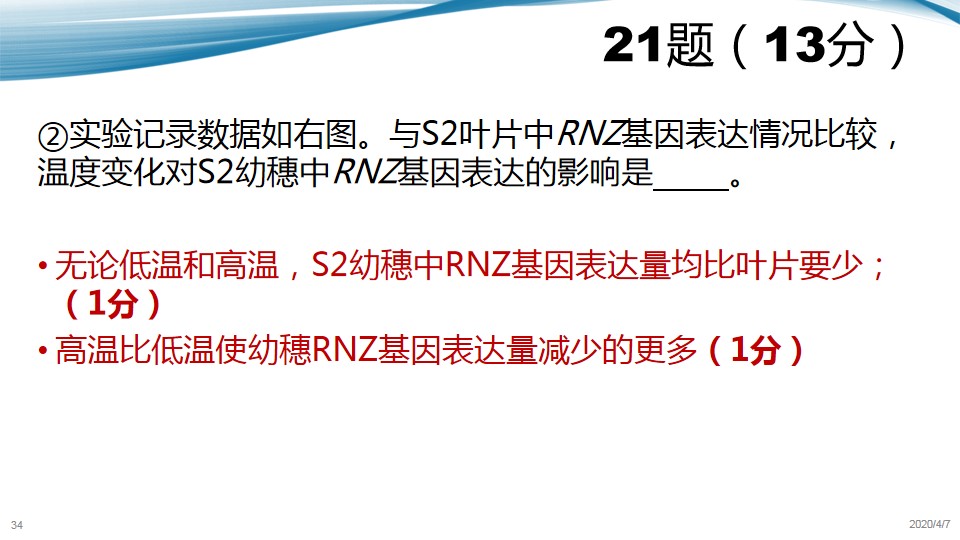 2024年11月17日 第66页