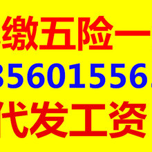 “2024新奥官方正版资料免费发放，赢家揭晓_智能版MZY698.46预告”