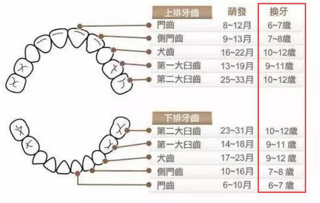 今晚澳门天天开彩开奖结果查询表格图片一,制定更科学的投注策略