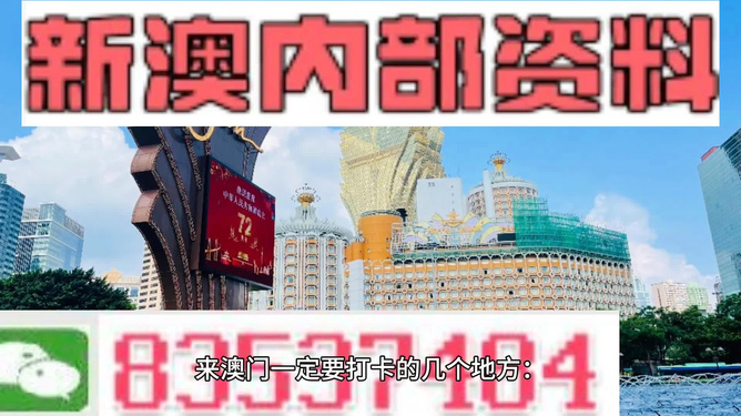 正版资料2021年澳门免费版大全,特别是在澳门这样一个充满活力和机遇的地方