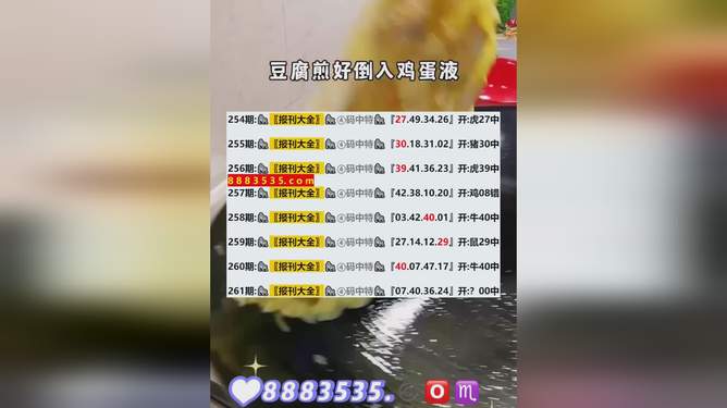 2024年新澳开奖结果开奖记录查询,关键在于选择合适的查询渠道和掌握实用的查询技巧