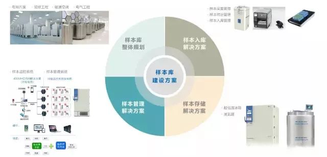 新奥免费精准资料大全：一站式信息宝库的深度解析与应用指南