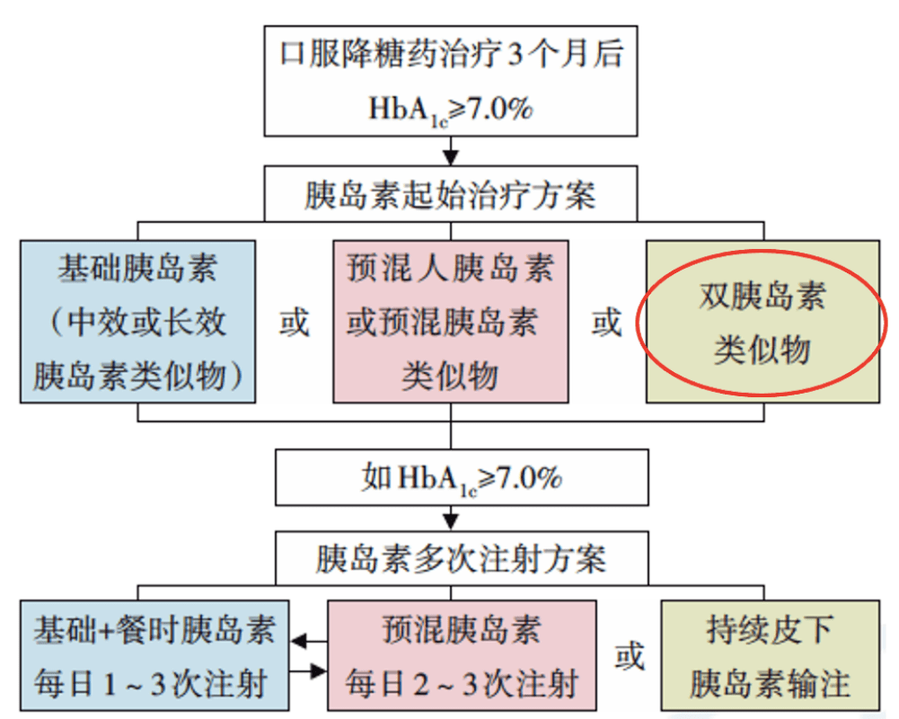 探索新澳门：免费在线资料库指南