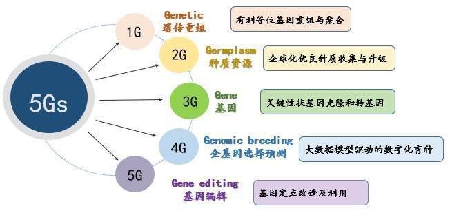 新澳准资料免费提供：赋能精准决策，引领数据驱动新时代