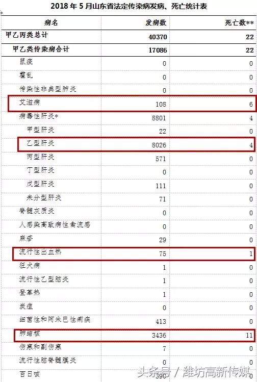 山东疫情最新区域，全面应对与积极防控措施启动