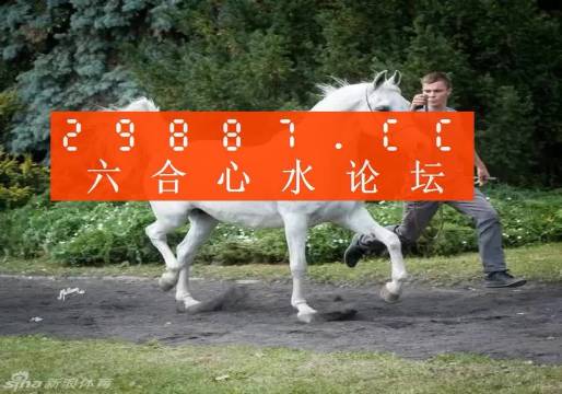 7777788888新版跑狗图解析,实地验证策略数据_X版34.987